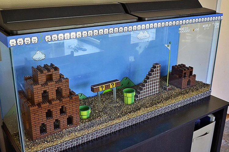 lego fish tank with real fish