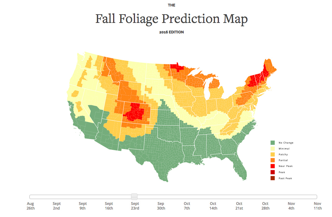 Check Out This Interactive Fall Foliage Map So You Can Plan The Perfect