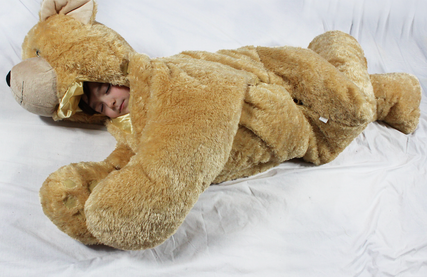 teddy bear sleeping bed price