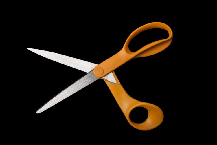 the scissors