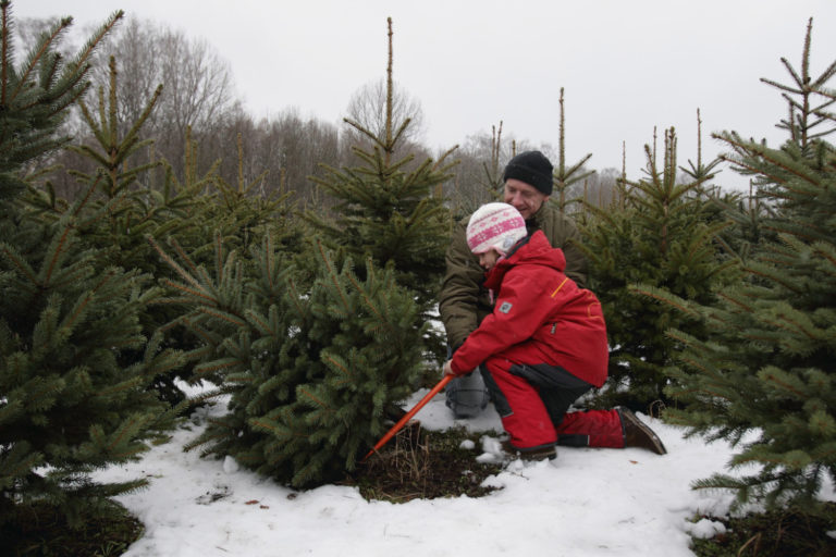 4 simple ways to childproof your Christmas tree