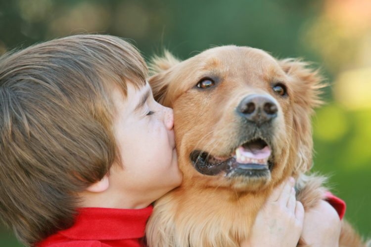 Here's Why You Shouldn't Hug Your Dog - Simplemost