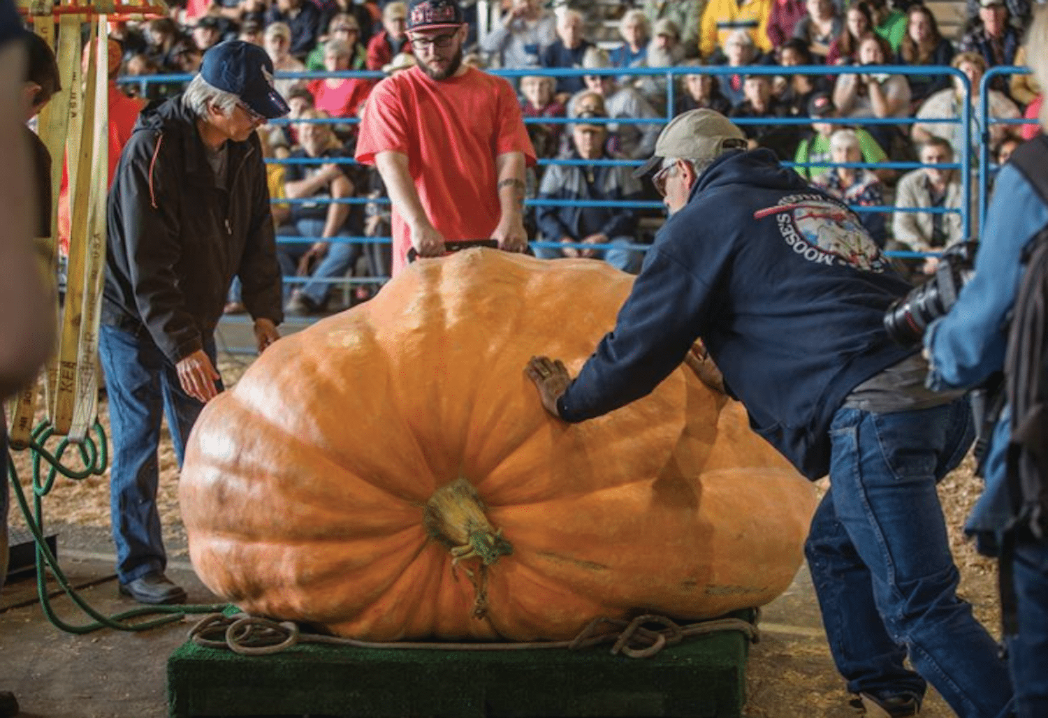 This man's giant pumpkin set a new record at the Alaska State Fair