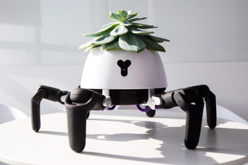 This Robot Chases The Sun Around To Keep Your Plant Happy