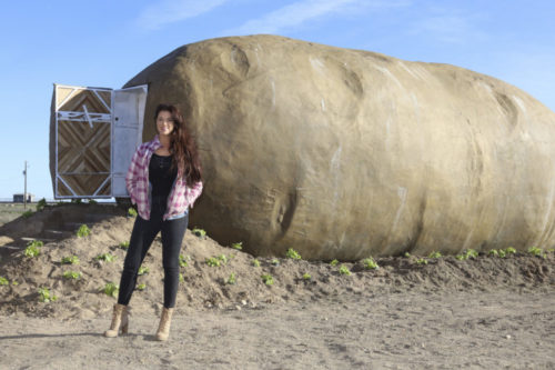 Win A 3-Night Stay Inside This Giant Potato On Airbnb