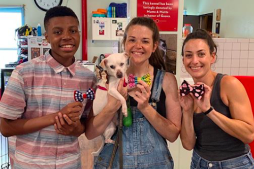 This 13-year-old Boy Designs Bow Ties To Help Pets Get Adopted