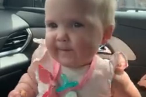 This Baby Dancing To The Jonas Brothers While Holding A French Fry Is Too Cute