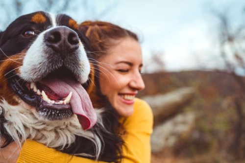 These Were The Most Popular Pet Names Of 2019