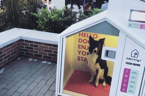 These Temperature-controlled Dog Houses Are A Genius Solution For People Running Errands With Their Dogs