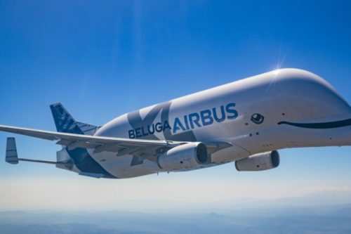 This New Plane Looks Just Like A Cute Beluga Whale