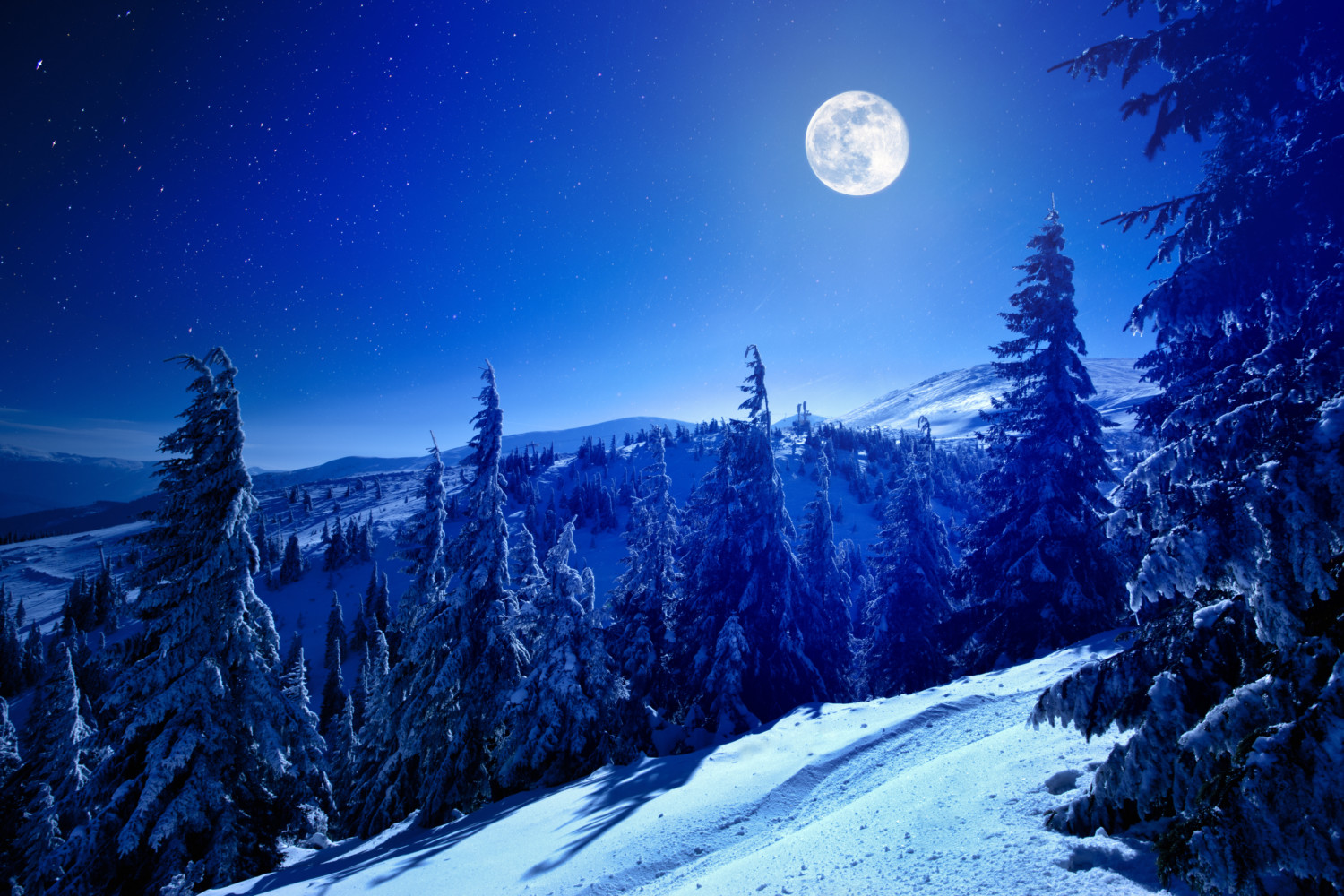 See The Full Cold Moon—Last Full Moon Of 2020 - Simplemost