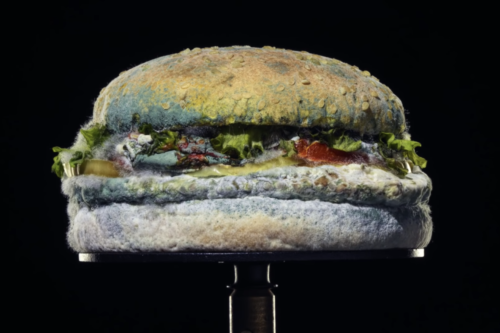 Why Burger King Is Showing A Moldy Whopper In Its New Commercials