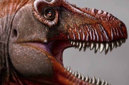 A Newly Discovered Cousin Of T. Rex Is Being Called The ‘reaper Of Death’