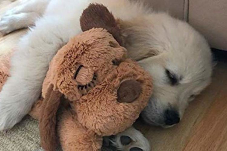 heated stuffed animals for puppies