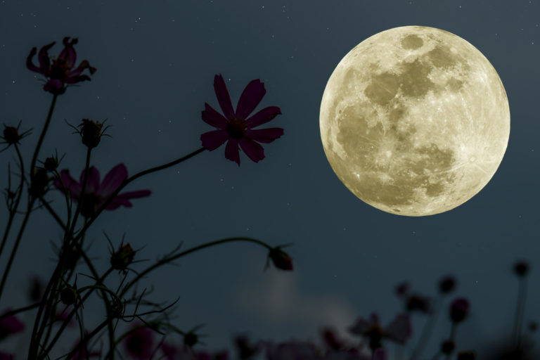 Full Moon May 2022: Flower Moon Is Supermoon Eclipse - Simplemost