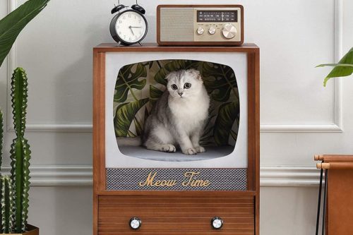 People Are Upcycling Vintage TV Sets Into Cozy Cat Beds