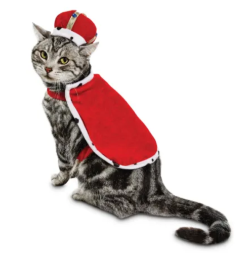 Petco has matching Halloween costumes for pets and their owners