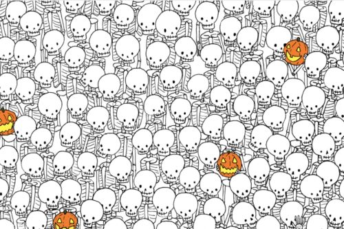 Find The Ghost Among The Skeletons In Halloween Brainteaser