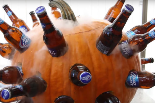 How To Turn A Pumpkin Into A Beer Cooler