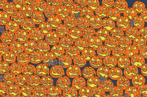 Find The Jack-O’-Lantern With The Missing Nose In This Tricky Puzzle