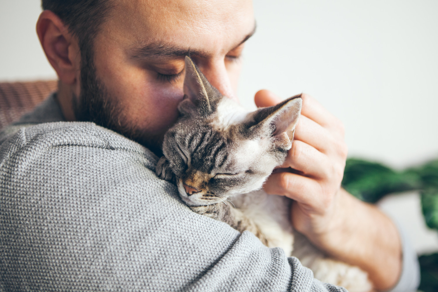 Study Shows Cats Are More Attached To Their Humans Than We Give Them 