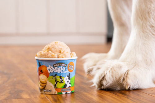 Ben & Jerry’s Has A New Line Of Ice Cream For Dogs