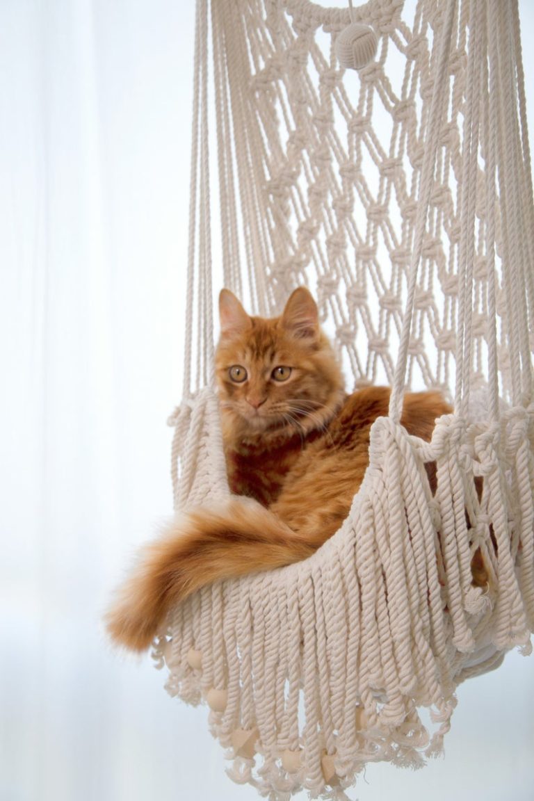 Macrame Cat Hammocks Are Perfect For Cats To Relax Simplemost