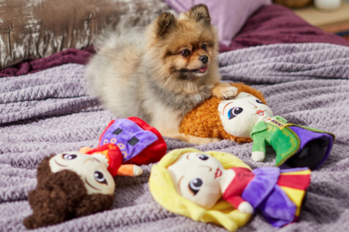 Buy Your Pets ‘Hocus Pocus’ Squeaky Toys This Halloween