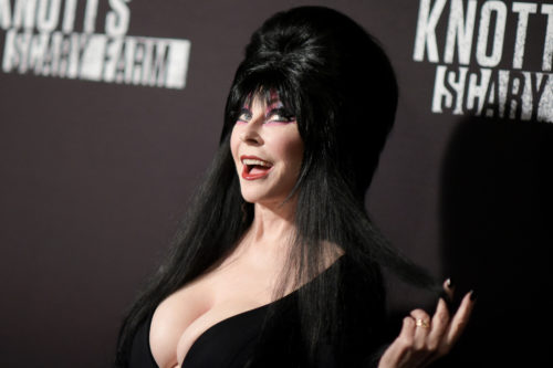 Horror Icon Elvira Comes Out In New Memoir