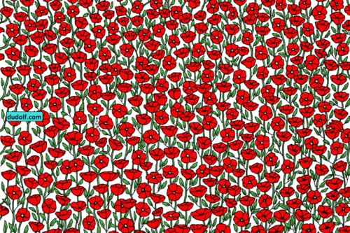 Can You Find The Tiny Crab Hidden Among The Poppies In This Puzzle?