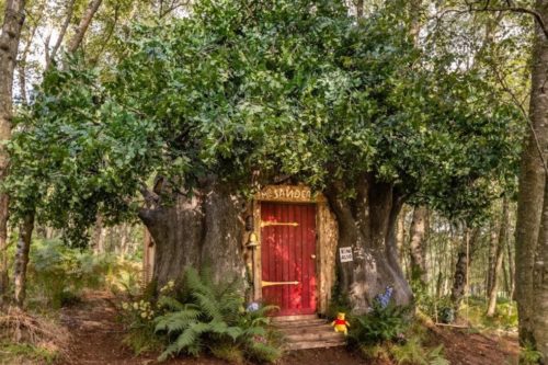 Look Inside This Storybook ‘Winnie The Pooh’-Inspired ‘Bearbnb’