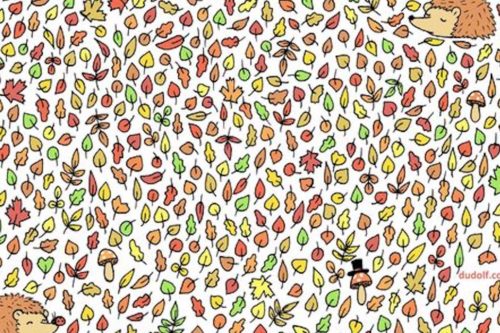 Find The Acorn Hidden Among The Leaves In This Autumn Puzzle