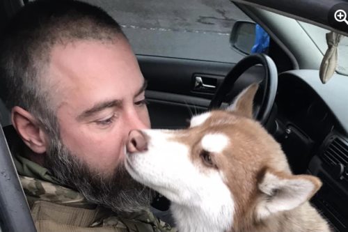 Ukrainian Soldier Rescued A Lost Husky And Is Reuniting The Dog With Its Owners