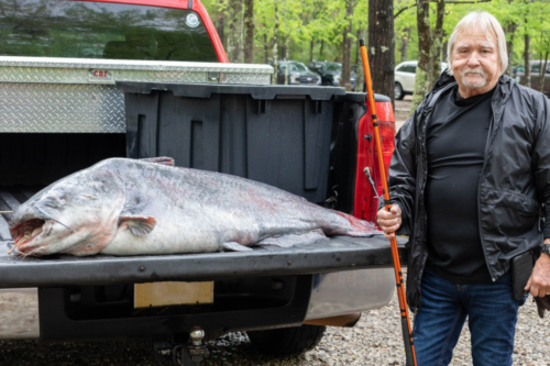 Man Reels In ‘monster’ Record-Breaking Catfish On The Mississippi River