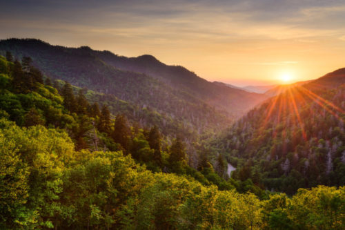 You Can Stay In A Tree Fort At The Largest Treehouse Resort In The World