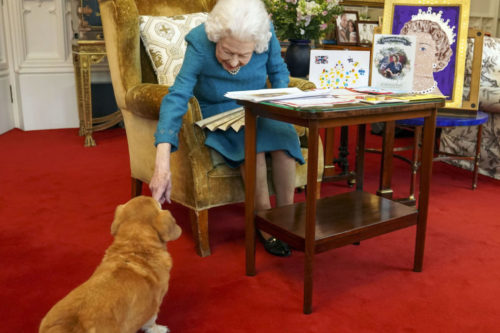 Queen Elizabeth Had At Least 30 Corgis, And Many Descended From Her First, Susan