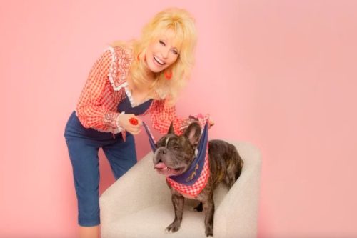 Dolly Parton Just Launched A ‘Doggy Parton’ Pet Apparel Line On Amazon