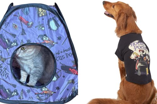 PetSmart’s New Halloween Collection Has ‘Hocus Pocus’-Themed Fun For Cats And Dogs