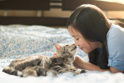 Study Shows Cats Know Your Voice And Can Tell When You’re Talking To Them