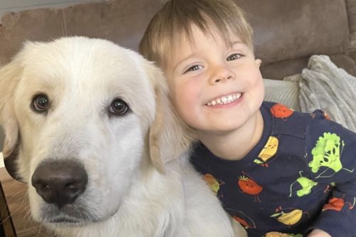 A puppy called “too big” finally finds his home—after 14 failed adoptions