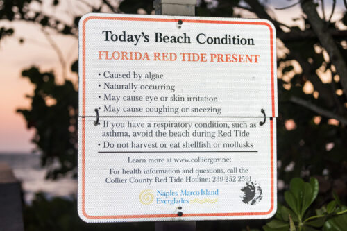 What is the red tide hitting Florida beaches?