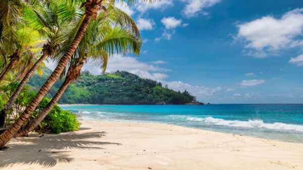 beach scene