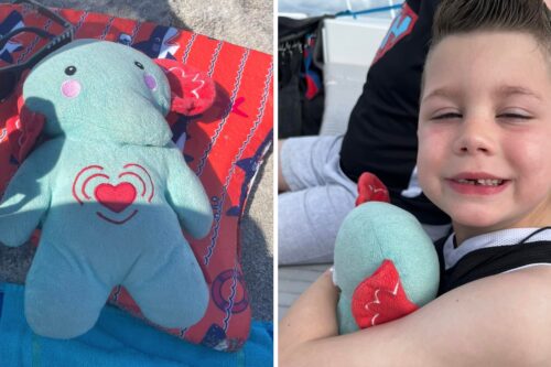 Mom searching for missing toy elephant with late son’s ashes