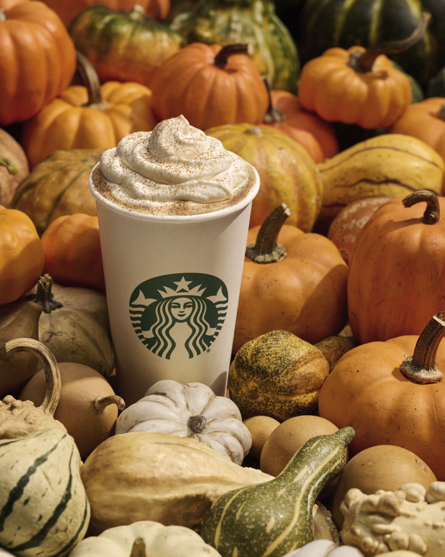 Starbucks’ pumpkin spice lattes are now available